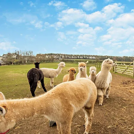 3 Bed In Cockermouth 82438