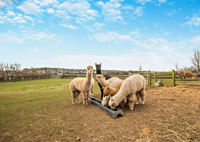 3 Bed In Maryport Oc-82438