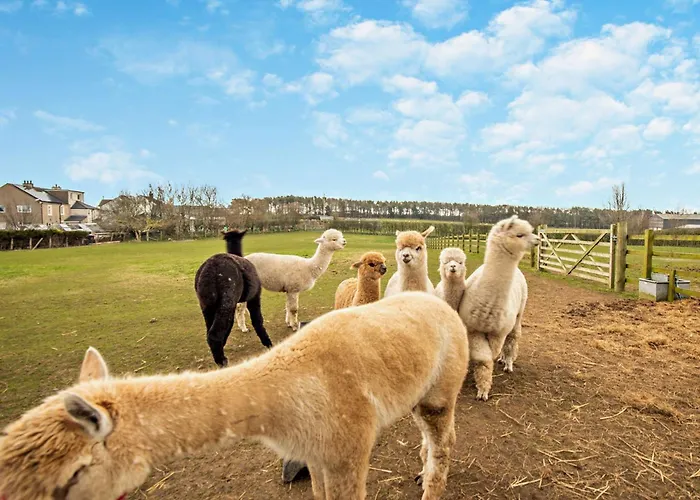 3 Bed In Maryport Oc-82438