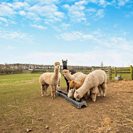 3 Bed In Maryport Oc-82438